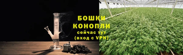 СК Бронницы