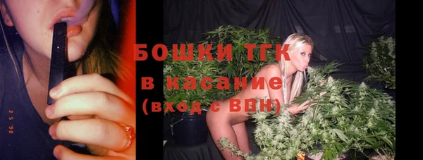 mix Бородино