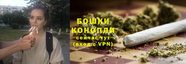 СК Бронницы