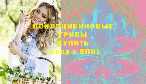 СК Бронницы