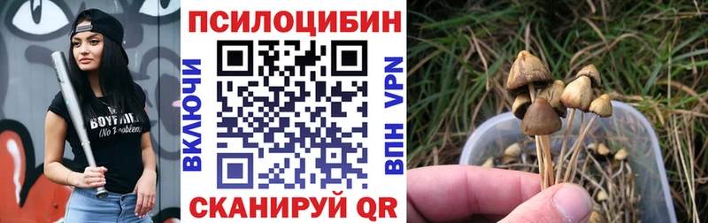 Галлюциногенные грибы MAGIC MUSHROOMS  купить закладку  Киренск 
