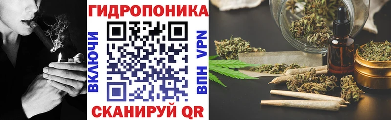 закладка  Киренск  Бошки марихуана OG Kush 